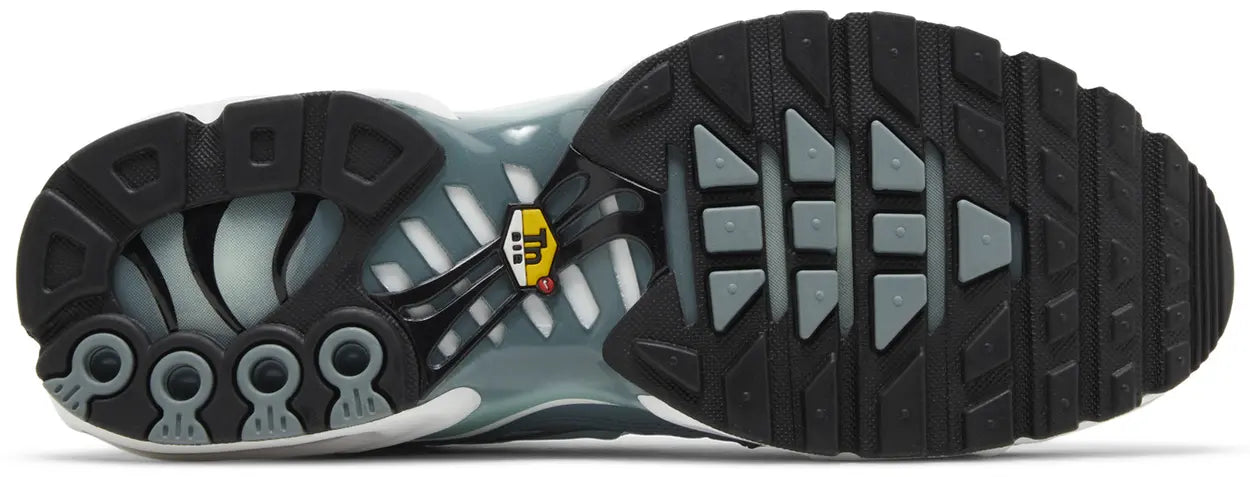 AIR MAX PLUS PALM PACK WATERWAY