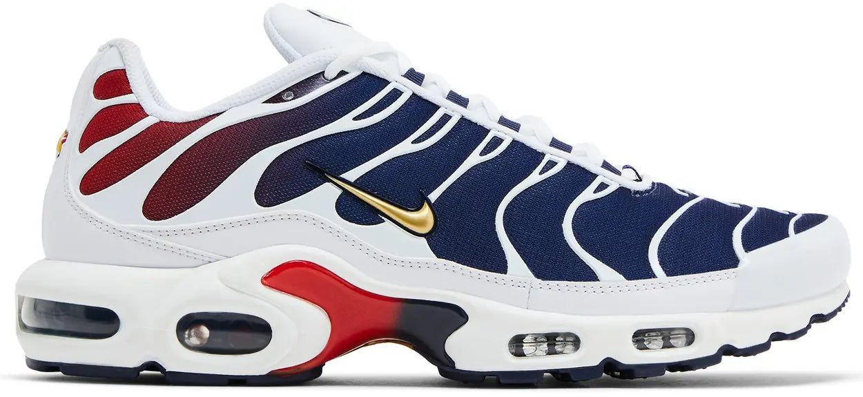 AIR MAX PLUS PSG
